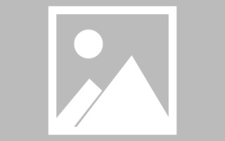 黑龙江新区景区网站建设（in art criticism,you must assume）